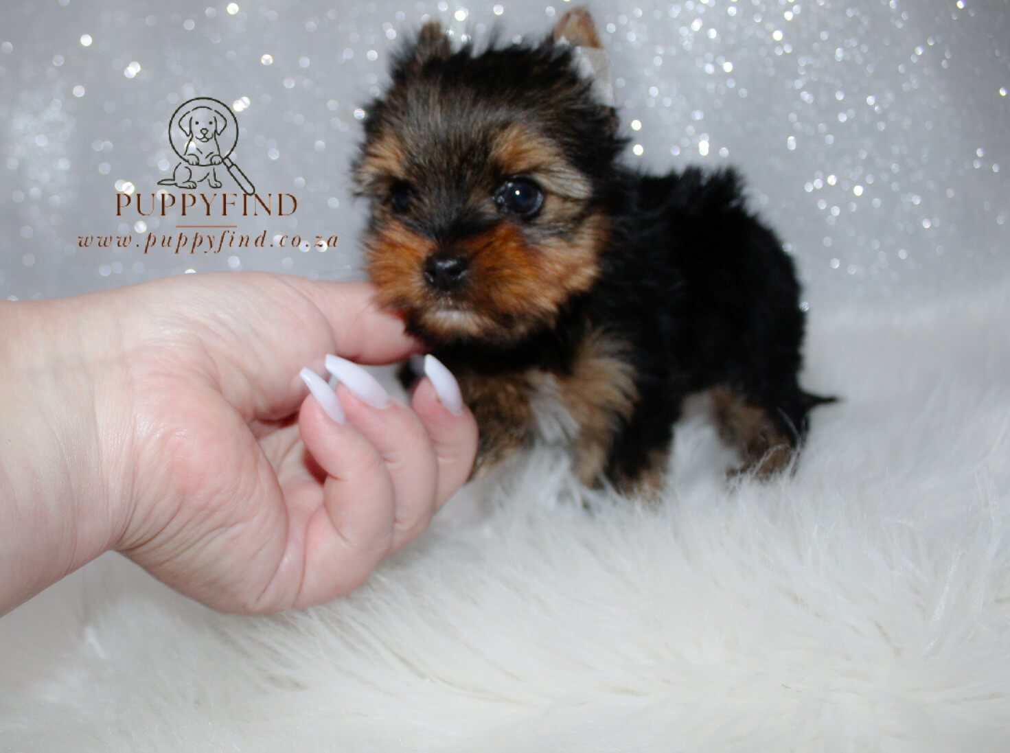 IMG_1805_edited_Watermarked