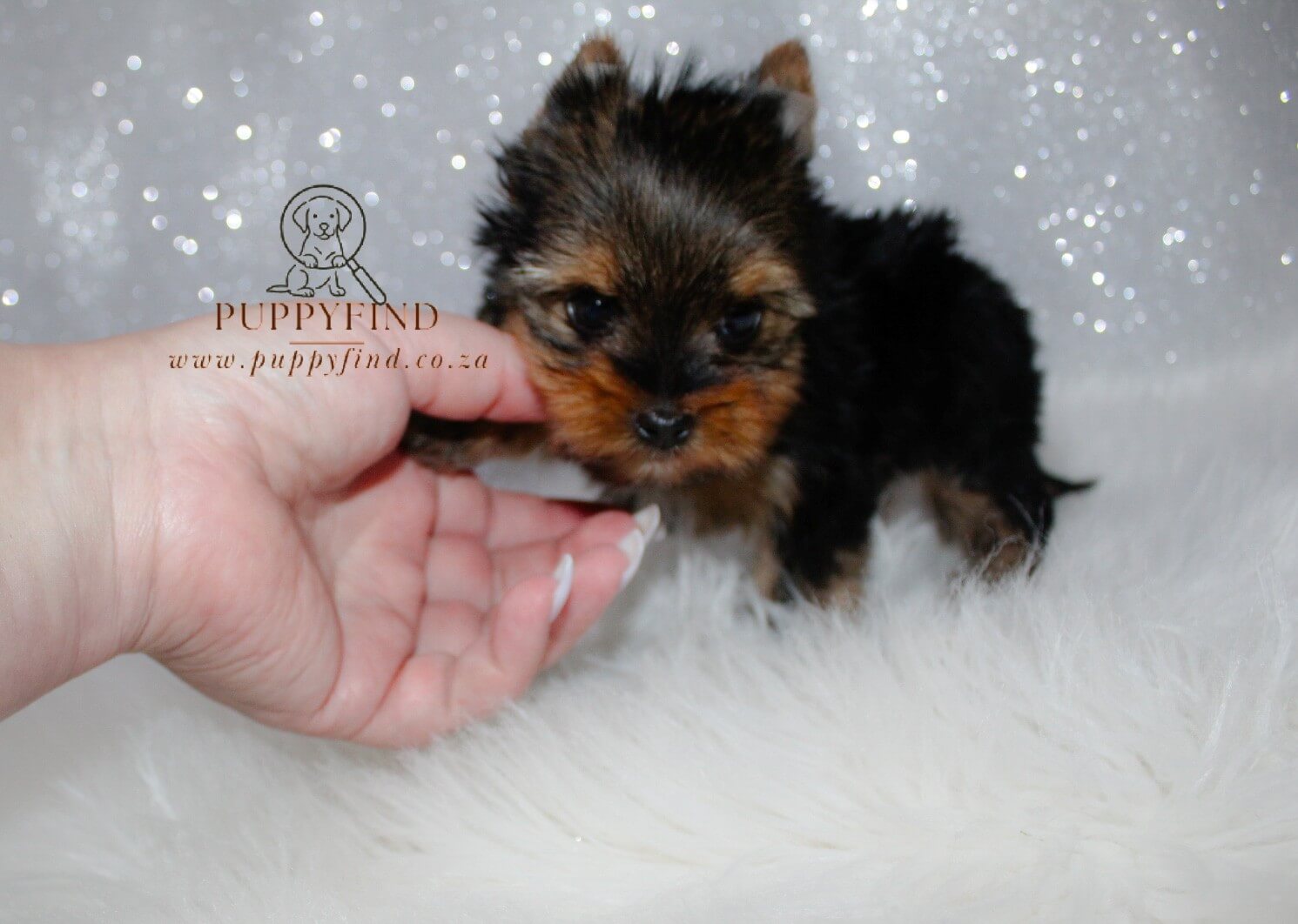 IMG_1806_edited_Watermarked