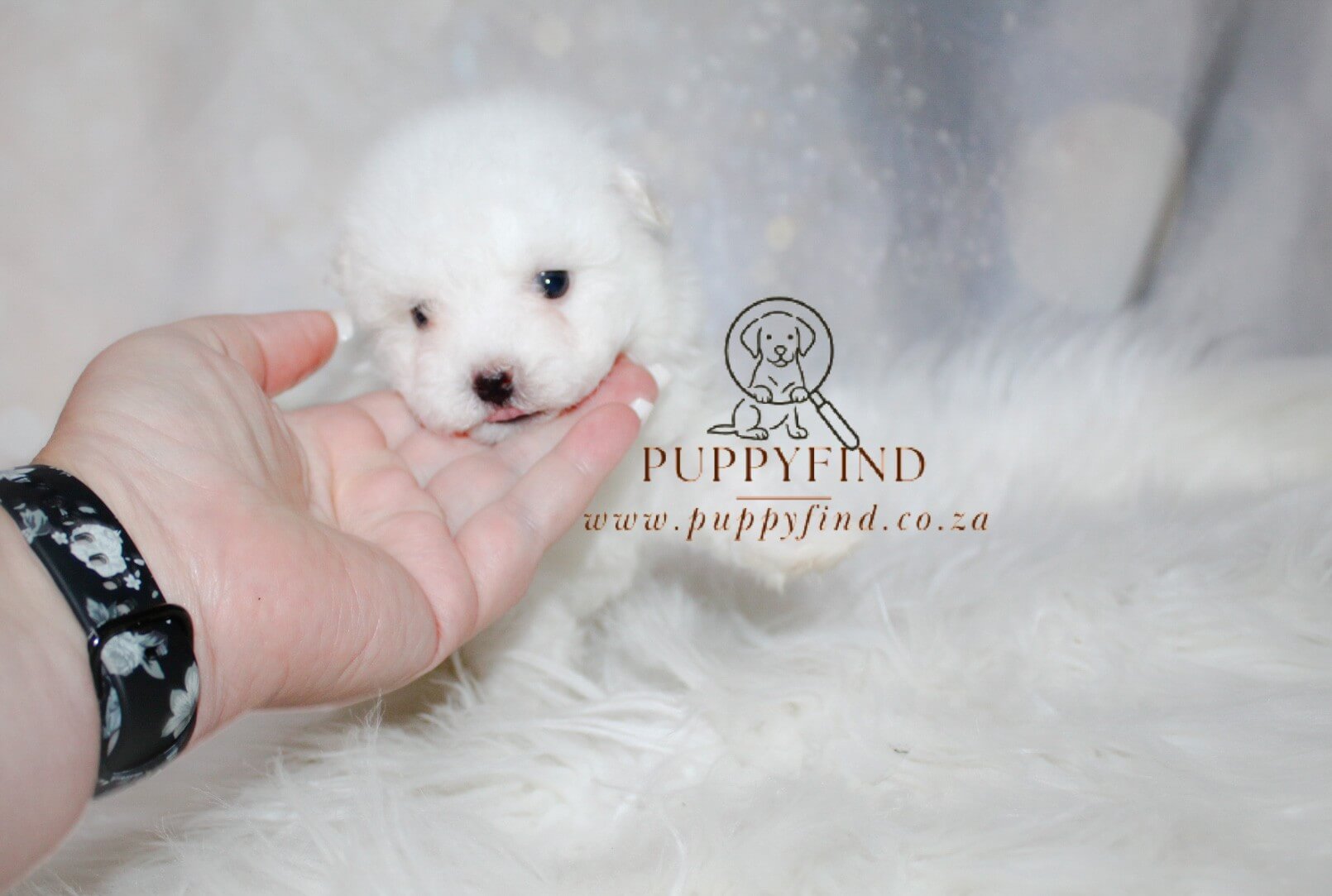 IMG_4110_Watermarked