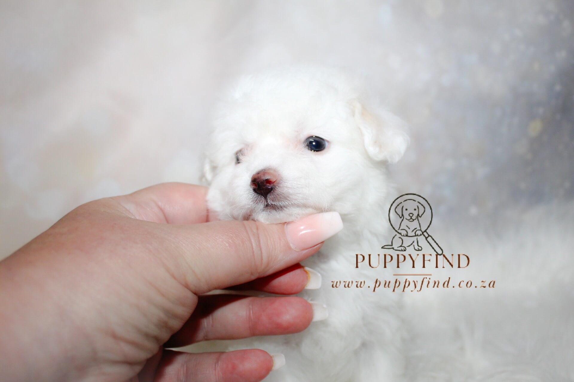 IMG_4125_Watermarked