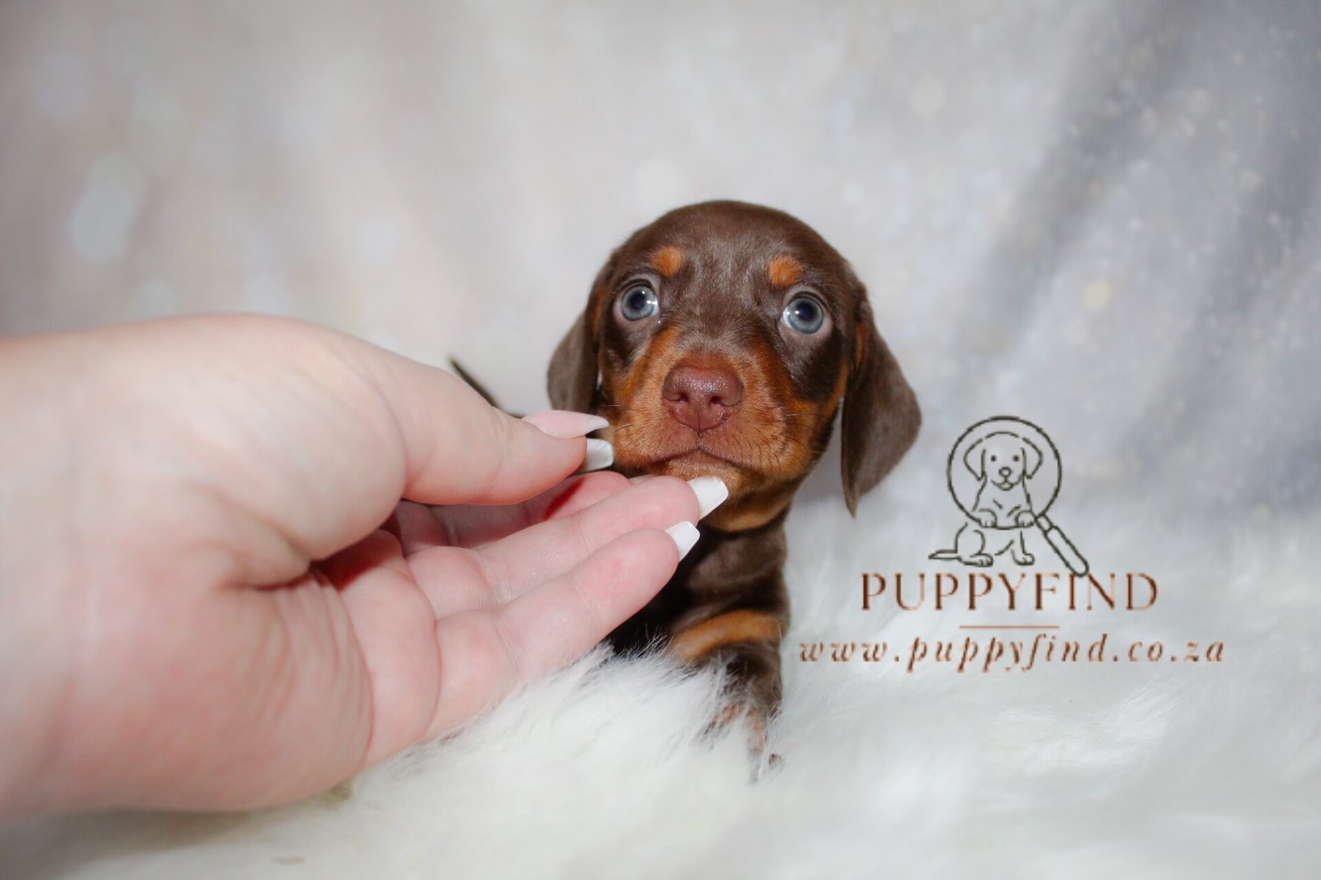 IMG_4289_Watermarked (2)