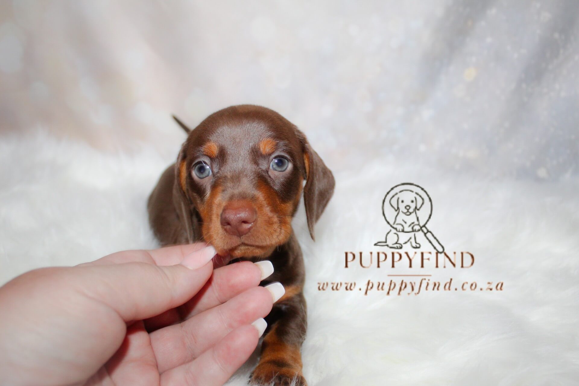 IMG_4290_Watermarked (2)